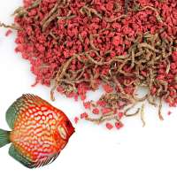 Bits for discus with bloodworm freeze dried bloodworm discus food